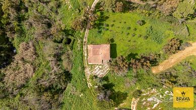Villa immersa nel verde a Santa Margherita Belice