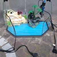 Acquario tartaruga in vetro. 