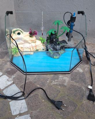 Acquario tartaruga in vetro. 