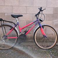 Bicicletta Mountainbike