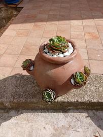 Echeveria in Vaso di Terracotta - Pianta Grassa