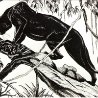 Disegno a china con cornice