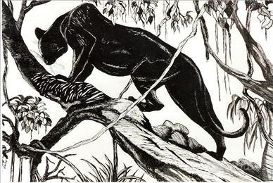 Disegno a china con cornice