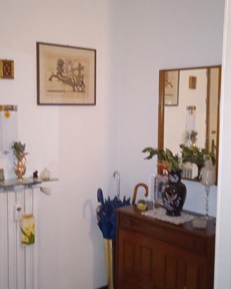 appartamento 