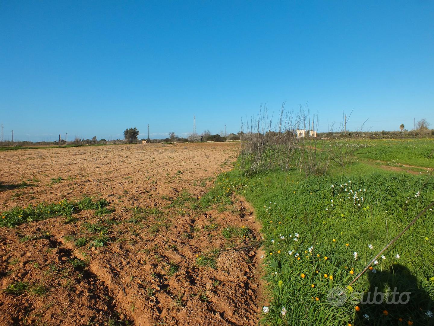 Terreno con progetto approvato - Altro