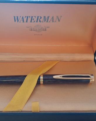 penna stilografica Waterman 