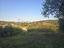 Immagine 7