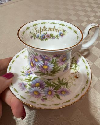 Tazze Royal Albert Le Stagioni -1970