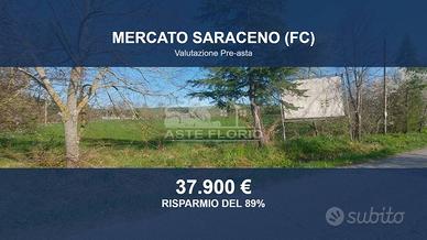 Immobile in asta di 12150 m² a Mercato Saraceno