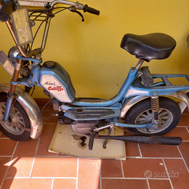 Mini califfo shop rizzato 50