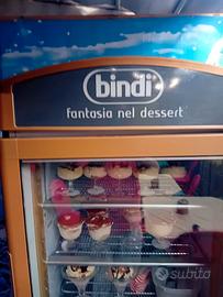 vetrina espositore frigo congelatore