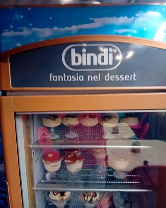 vetrina espositore frigo congelatore
