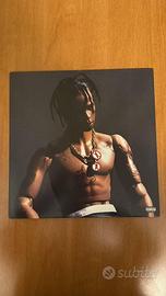 Vinile Travis Scott Rodeo