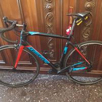 Wilier Triestina