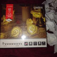 catena luminosa di Roselline bianche con 10 led