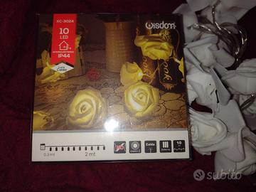 catena luminosa di Roselline bianche con 10 led