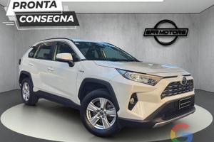 Toyota RAV4 Business Hybrid - PROMO/.IVA ESP.