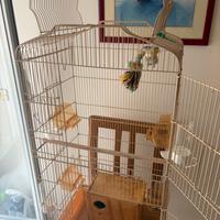 Gabbia per pappagalli