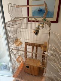 Gabbia per pappagalli