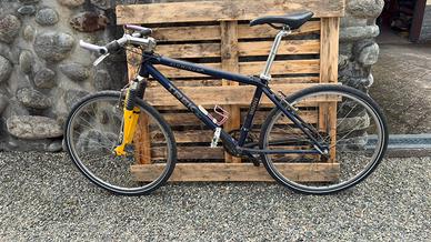 MTB Trek