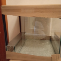 Terrari vetro rettili, anfibi , insetti ragni