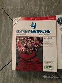 Pagine Bianche Padova e Provincia 2007/2008