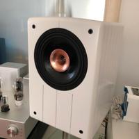 diffusori acustici Woodsound coax  8"