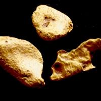 Pepite d'oro (22,80/23,50carati)