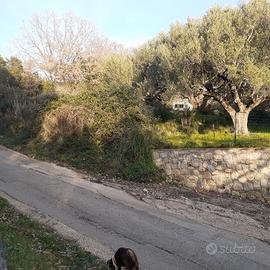 Terreno agricolo a Marina di Camerota