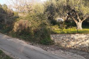 Terreno agricolo a Marina di Camerota