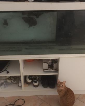 Acquario+Mobile