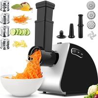 Tritacarne Elettrico 2000W, 5 in 1 Multifunzione T