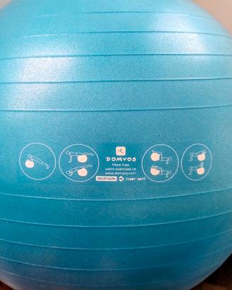 fitness ball