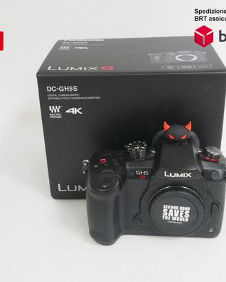 Panasonic GH5 S