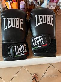 Guantoni Leone