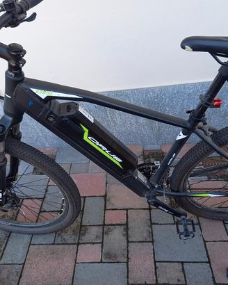 Bici elettrica
