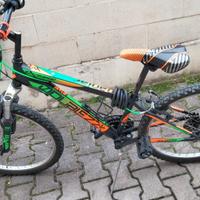 Bici 24 Da Ragazzo