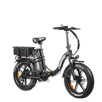 Bici elettrica CHAMRIDER DTS450 48V 50Ah + 48V 32A