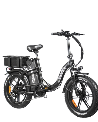 Bici elettrica CHAMRIDER DTS450 48V 50Ah + 48V 32A