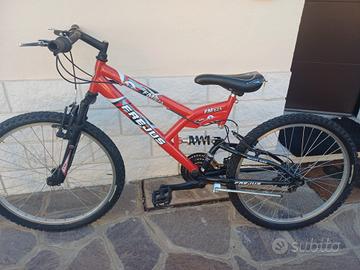 bici 24'