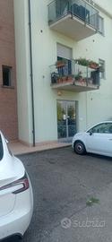 Locale commerciale in Alba