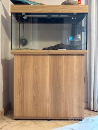 Acquario