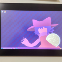 Tavoletta grafica con schermo GAOMON PD1161