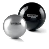 Technogym Wellness ball 