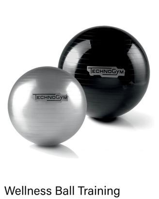 Technogym Wellness ball 