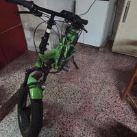 ebike coppi