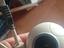 Immagine 1
