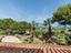 Immagine 22