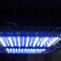 Plafoniere led GNC am466 dimmerabili.