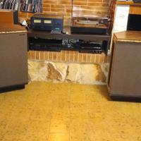 diffusori Electrovoice Regency I